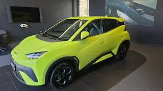 BYD DOLHIN SURF Boost 43.2 kWh blade battery and 16