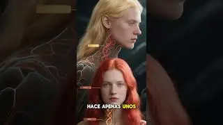 &iquest;Sab&iacute;as que el cabello rubio tiene apenas 14,000 a&ntilde;os de antig&uuml;edad?