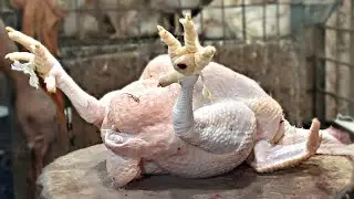 Amazing Chicken Cutting Techniques in Chicken Market - Chicken Processing for Briyani - BD CHICKEN