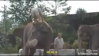 Sasikala Nadarajan valarmati comedy scene