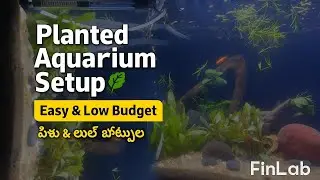 Planted aquarium full setup | low budget easy guide in Telugu | beginner friendly fish tank
