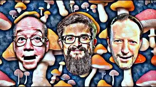 28. The Psychedelic Stylings of Dr. Matthew Johnson