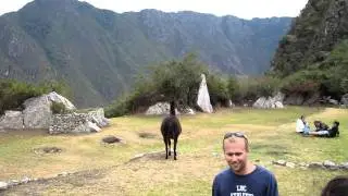 Attacking a Llama