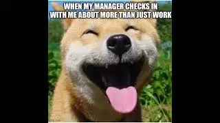 Meme of the day #memes #meme #workmemes #workmeme #work #boss #managermeme #4