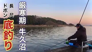 厳寒期の牛久沼に挑戦！長尺ドボンで食い渋るヘラブナを根性で釣り上げる！【稲荷川】