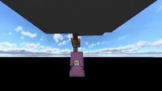How to place a Shulker in the Void! | In case you find it useful xD