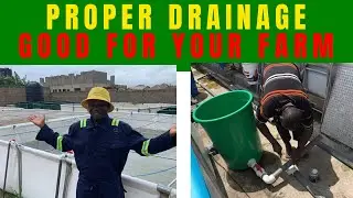 How To Provide Proper Drainage for Your Fish Farm