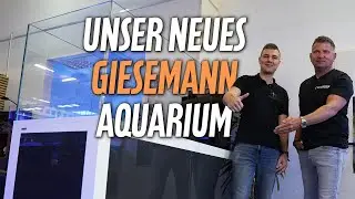 Neues GIESEMANN Schaubecken: Wir nehmen euch mit von A bis Z!- PlanktonPlus Aquaristik