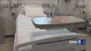Hawaii's crisis standards of care framework receive criticism