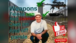California defense, for felons/preppers with felony&rsquo;s/hatsan flashpup .25cal/GCS knifes/Weapons