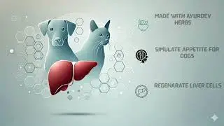 Tefroli Forte - It help provide liver protection and accelerate liver regeneration