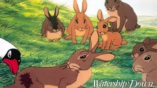 &laquo;Обитатели холмов&raquo; (1978) | Рецензия