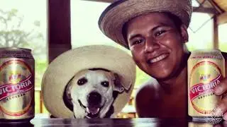 Utopia is Pet Friendly!