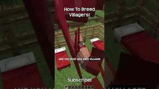 How To Breed Villagers In Minecraft?!