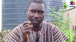 THE HEALTH BENEFITS OF BLUE VERVAIN WITH STEPHEN GARIBA #bluevervain #health #benefits #wonders