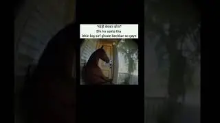 Follow for more ❤️ 🙂  #shinchain #horse #comedy #viral #like #shorts #ektarfa #song #dontcare
