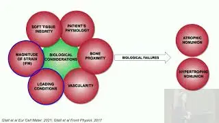 2 Biomechanics of Bone Healing: How to Optimize your Construct in OR to Avoid Complications