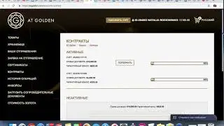 Золото AT Golden, Деньги AT Bonus- обзор абинетов
