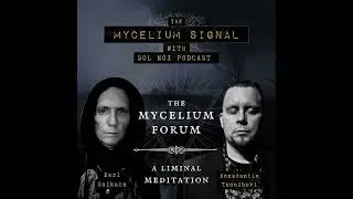 The Mycelium Forum - 