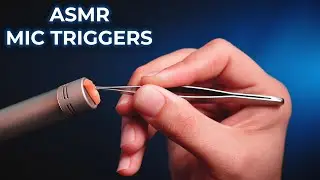 ASMR Mic Triggers for Deep Relaxation 💤 | Pop Filter, Foam, Mallet, Brushing & More |No Talking 