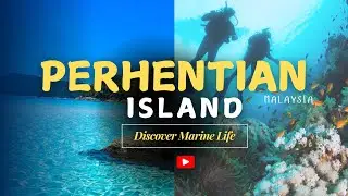 PERHENTIAN ISLAND | THE MOST BEAUTIFUL DESTINATION OF MALAYSIA?🇲🇾