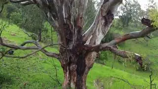 Tilba Farm New South Wales - Drone DJI Mini 2 #drone