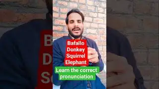 Names of some animals are mispronounced. #vocabs #vocabbatch #speakingenglish #grammar #english #yt