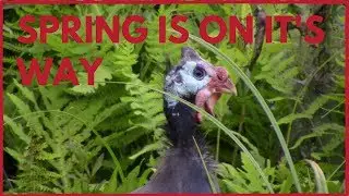 Spring Is On It's Way