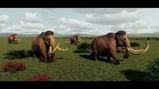 Mammoth Summer