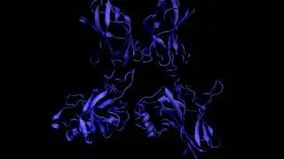 NF&kappa;B RelA homodimer
