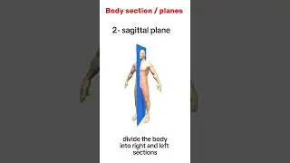 Anatomical planes/sections of the body#education #antony