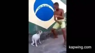Brazil dog dance new short video new friend video viral