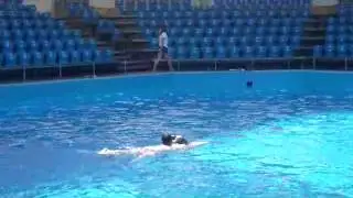 P1030176 xvid