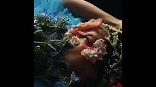 [FREE] Bj&ouml;rk x Arca type beat - BLOOM