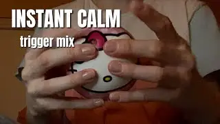 ASMR Texture Heaven | Slow Gripping + Crisp Scratching Variations (Many Requested Items)