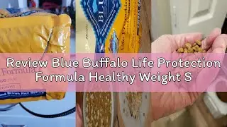 Review Blue Buffalo Life Protection Formula Healthy Weight Small Breed Dry Dog Food, Supports an Ide