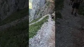 Saugasse