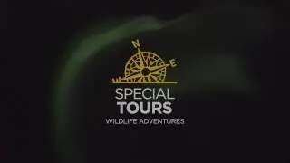 Northern Lights by Boat - Special Tours