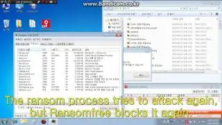 RansomFree Demonstration - Cerber2 ransomware