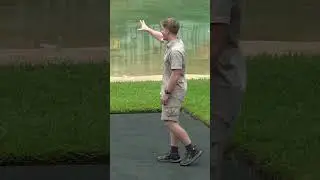 Роберт Ирвин НЕНАВИДИТ, когда Терри так говорит о Стиве! #australiazoo #croc #shorts #FYP