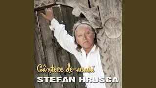 Pă Dealu' cu Stânjenii