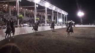 Five Gaited Championship  Mercer County Fair Horse Show  2010 HD