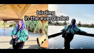 Birding At Cypress Swamp and Marsh Trail