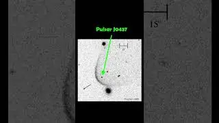 Comparing The Sounds Of Different Pulsars