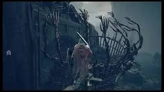Where to get Stone-Sheathed Sword Sword of Darkness Sword of Light Shadow of the Erd Tree Elden Ring