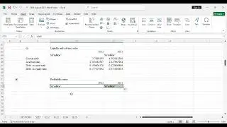 Business Data Analytics-CPA(August-2025) Mock- Q 21- Ratio Analysis