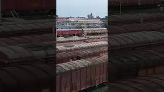 New Jalpaiguri station.. view from back side😍😍#indianrailways #newjalpaiguri #jaihind