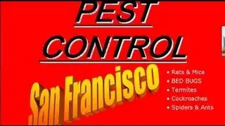 Pest Control San Francisco - Call us Today for the Best Pest Control San Francisco