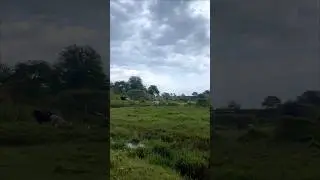 Shot on iPhone 12 | Stunning Nature Clips | Peaceful Landscapes 🌿#shortvideo #nature #scenicviews