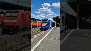 Cantus RB 83 verl&auml;sst den Kasseler Hauptbahnhof #shorts #trainspotting #regionalbahn #cantus #bahn